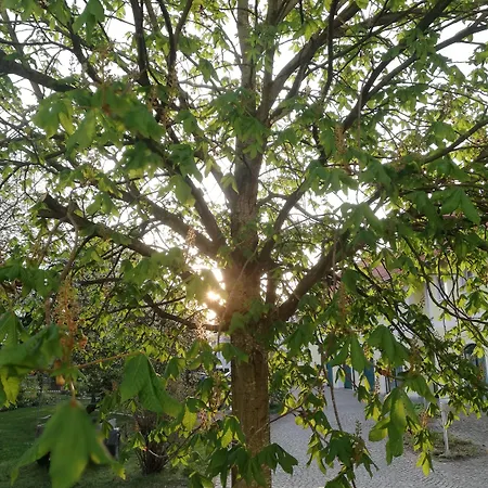 Nummerhof Έρντινγκ