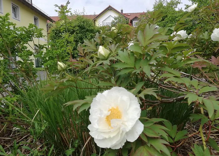 Nummerhof 3* Erding