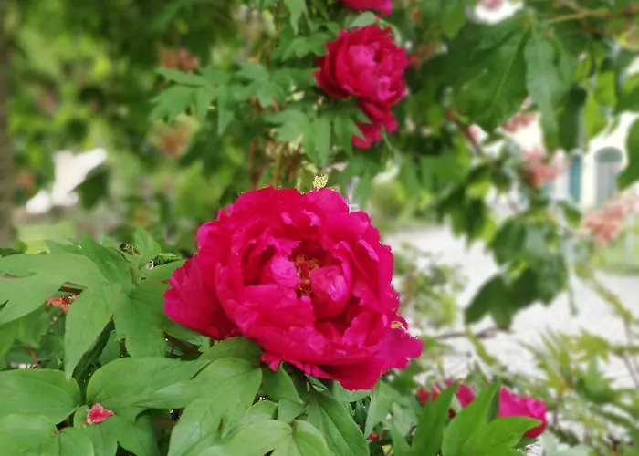 Szálloda Nummerhof Erding